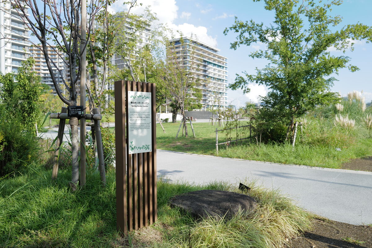 晴海ふ頭公園グラスガーデン