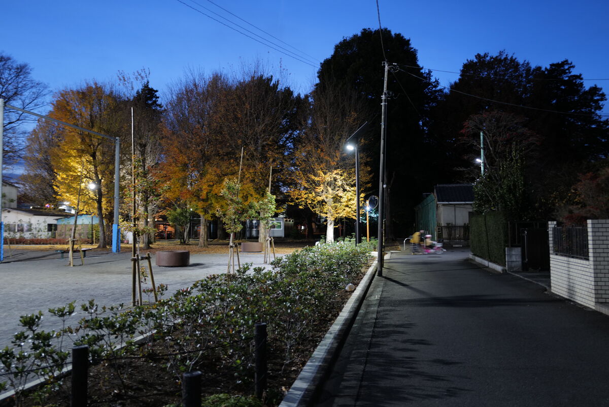 武蔵公園