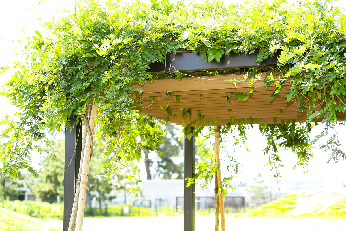 菅野駅北口公園