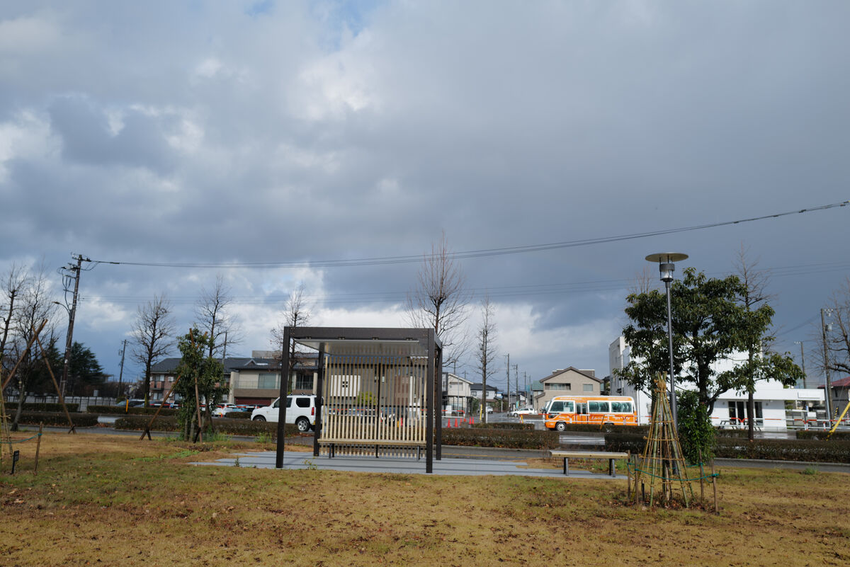 富岩運河環水公園お花見広場