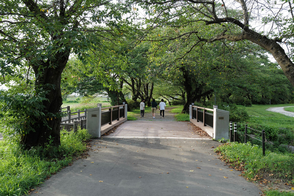 展勝地公園 の施工写真