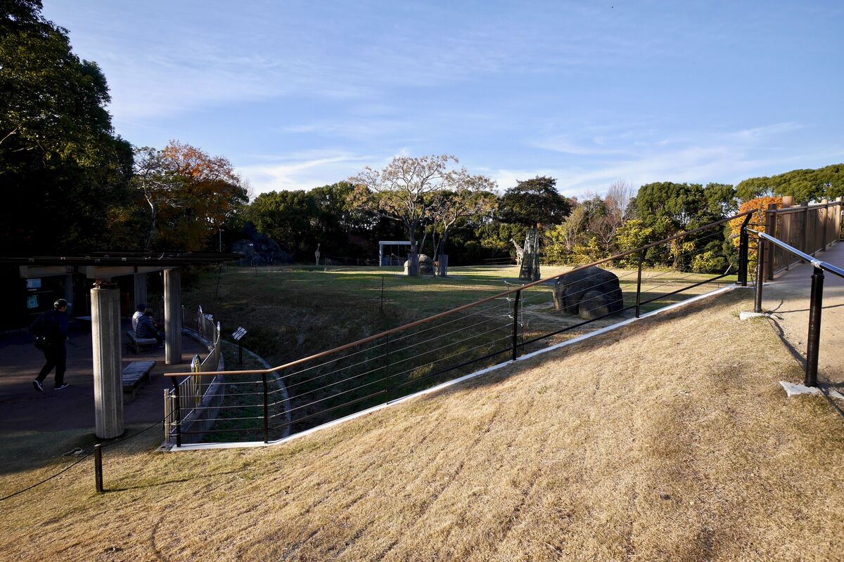 豊橋総合動植物公園 の施工写真