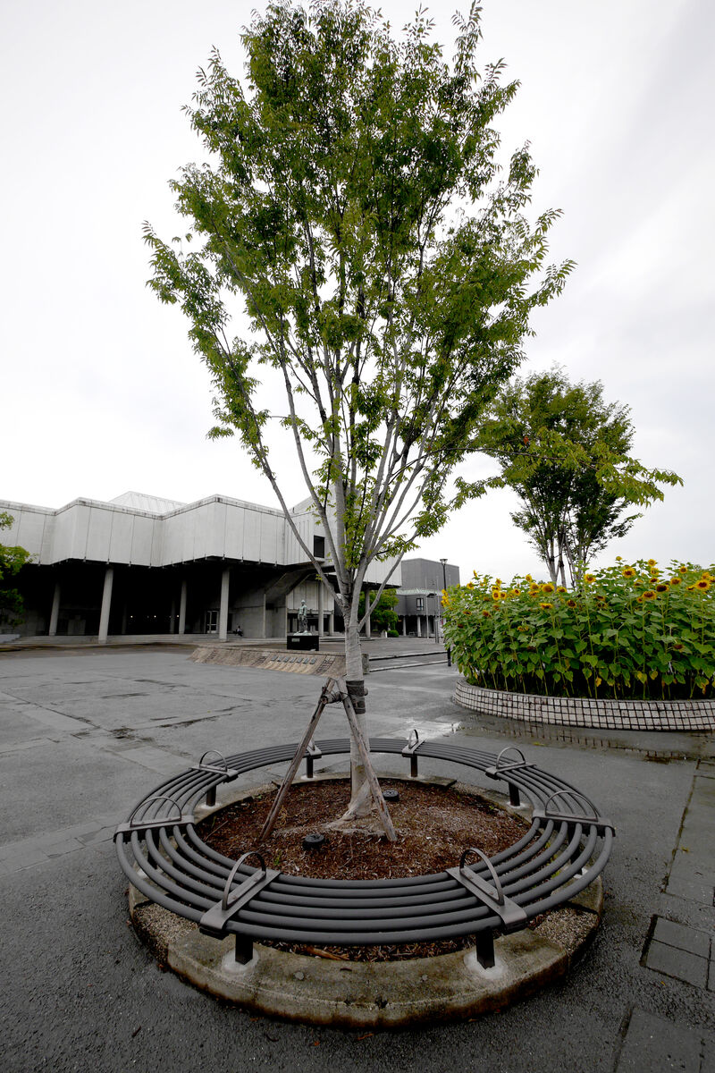 佐賀城公園 の施工写真