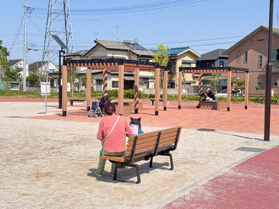 冨士公園・ベンチ写真