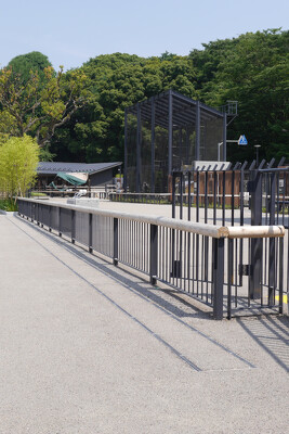 上野動物園