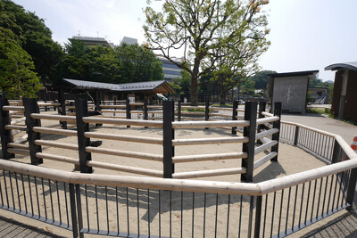 上野動物園