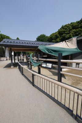 上野動物園