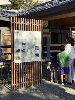 上野動物園