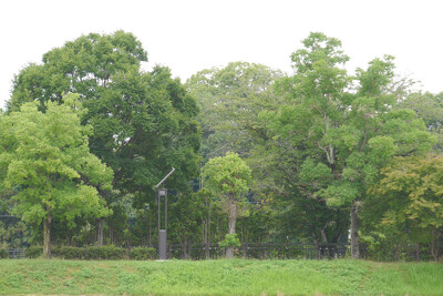 長柄運動公園