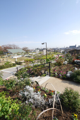 今井の丘公園