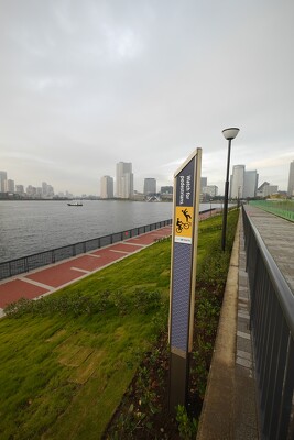 豊洲六丁目水際緑地豊洲ぐるり公園の施工写真