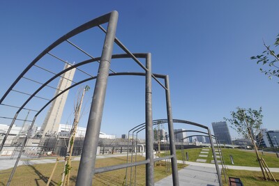 豊洲六丁目水際緑地豊洲ぐるり公園