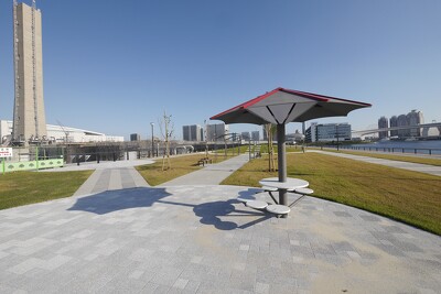 豊洲六丁目水際緑地豊洲ぐるり公園