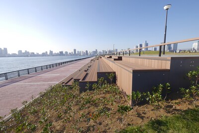 豊洲六丁目水際緑地豊洲ぐるり公園