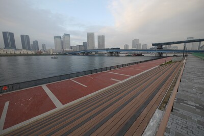 豊洲六丁目水際緑地豊洲ぐるり公園