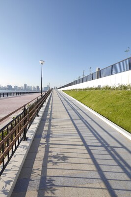 豊洲六丁目水際緑地豊洲ぐるり公園