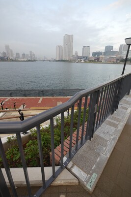 豊洲六丁目水際緑地豊洲ぐるり公園