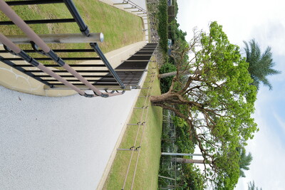 国営沖縄記念公園中央ゲート