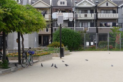 大久保中央公園