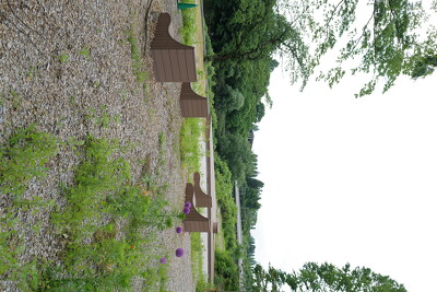 西公園・ベンチ写真