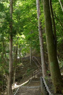 富士河口湖町羽根子山