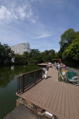 平和の森公園