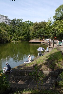 平和の森公園