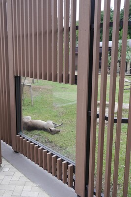 金沢動物園の施工写真