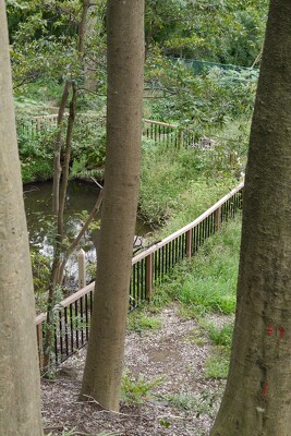 泉中央公園