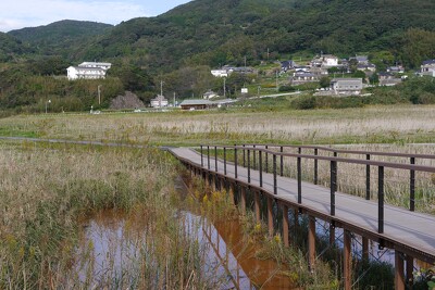 長崎市黒崎永田湿地