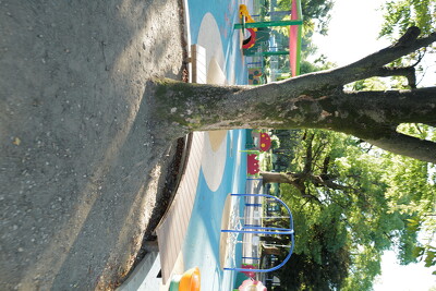 萩中公園・ベンチ写真