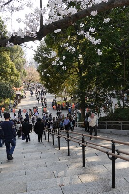 上野恩賜公園袴腰地区の施工写真