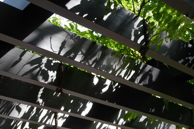 中央区佃公園の施工写真