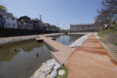 福岡市八良ヶ浦池