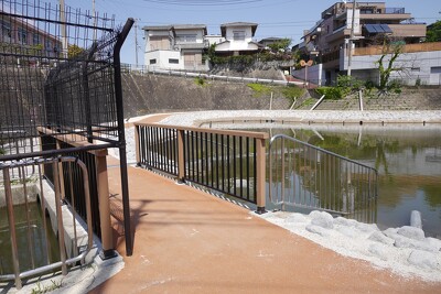 福岡市八良ヶ浦池