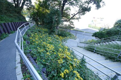 観音崎公園