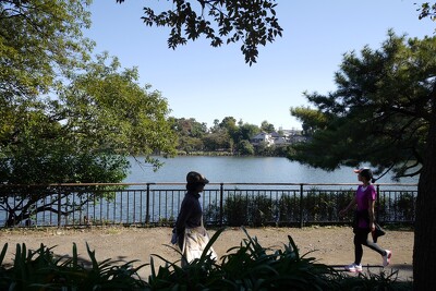 聖蹟公園