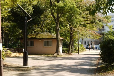 中原平和公園