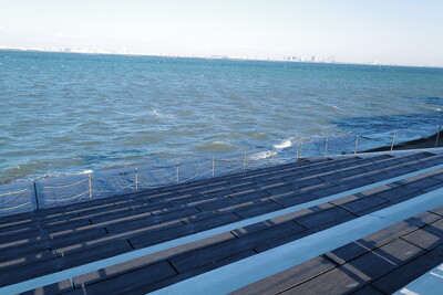 ふなばし三番瀬海浜公園