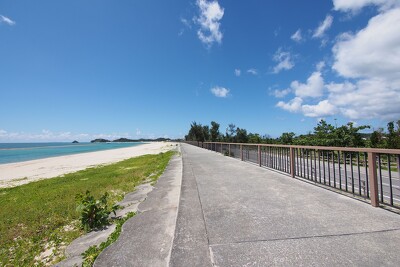 国頭村浜地区