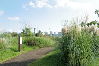 晴海ふ頭公園グラスガーデンの施工写真
