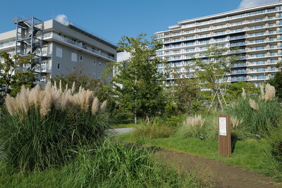 晴海ふ頭公園グラスガーデンの施工写真