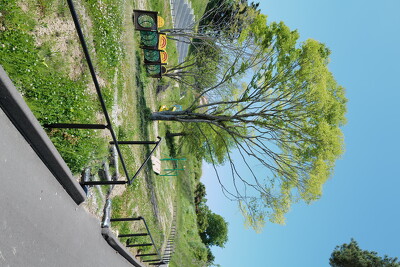 丈六公園