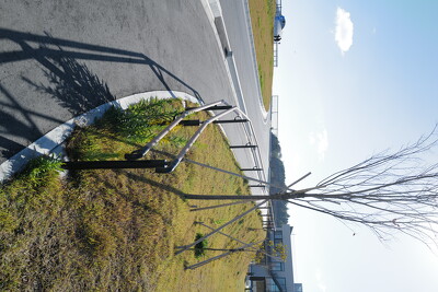 かわまち交流広場