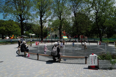 朝宮公園・ベンチ写真
