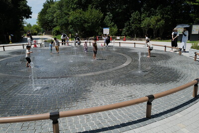 朝宮公園・ベンチ写真