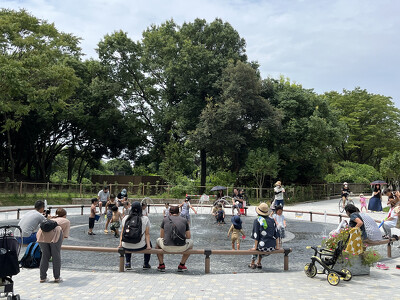 朝宮公園・ベンチ写真