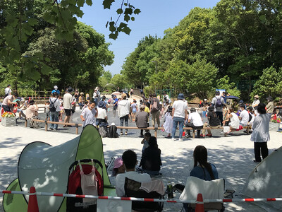 朝宮公園・ベンチ写真