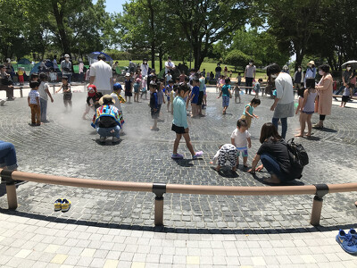 朝宮公園