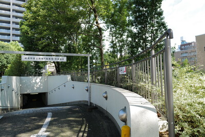 金公園